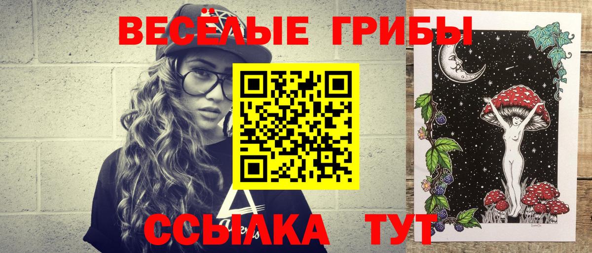 Киселёвск  Псилоцибиновые грибы Psilocybine cubensis  Вход с VPN 