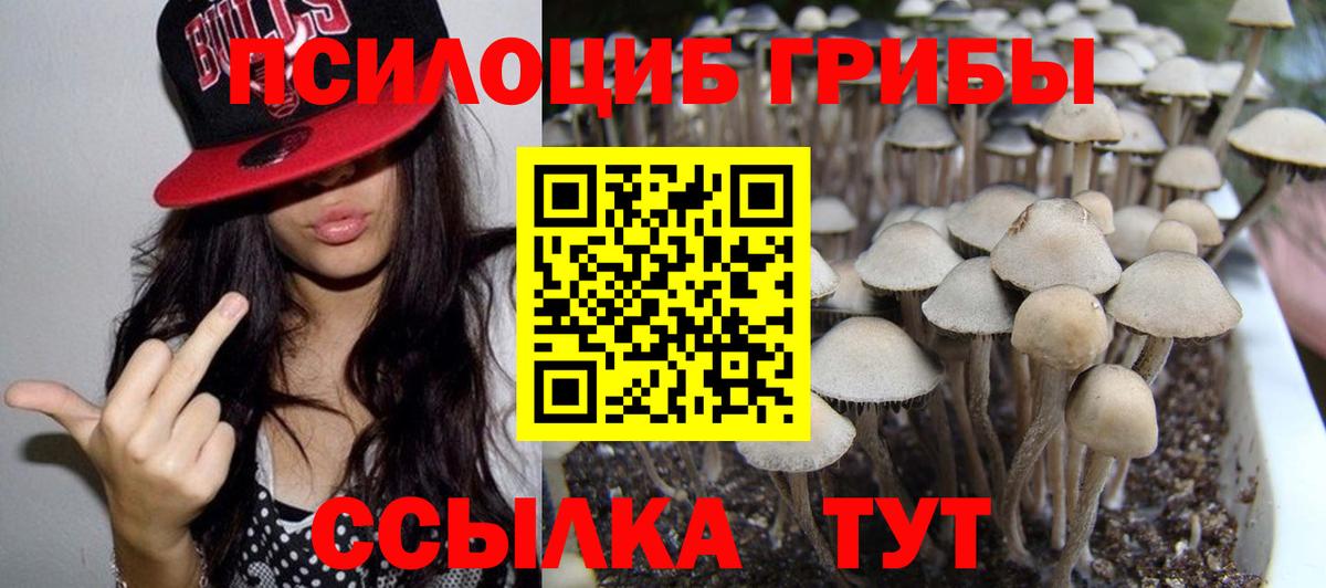 Псилоцибиновые грибы GOLDEN TEACHER Киселёвск